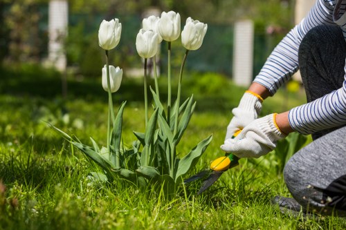 Selection of perennials and annuals for Thamesmead gardens