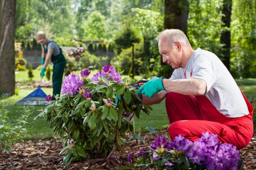 Electric vans used for low-carbon garden waste collection
