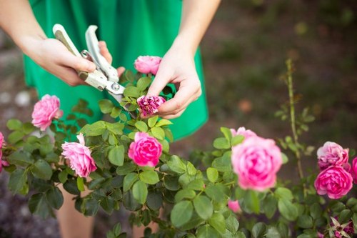 Person using a screen reader to access online booking for gardening services in Thamesmead