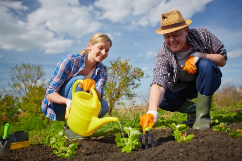 In the garden, a young woman and an older man are engaged in gardening activities. They are kneeling on the soil, tending to small green plants that are arranged in neat rows within a well-maintained outdoor space. The foreground features a lush, grassy lawn area adjacent to the planting bed, with healthy, vibrant green plants and young seedlings visible. The background includes a few mature trees and a partly cloudy sky, indicating a bright, sunny day. The woman is holding a yellow watering can, watering the plants, while the man uses gardening gloves to tend to the soil around the plants. Both are dressed casually in plaid shirts, with the man wearing a wide-brimmed straw hat and rubber boots, suggesting they are actively working on garden maintenance. This scene exemplifies typical landscaping and garden care practices that Gardening Services Thamesmead might provide to enhance outdoor spaces in the Thamesmead area, highlighting a well-organized vegetable or flower bed within a suburban garden setting.