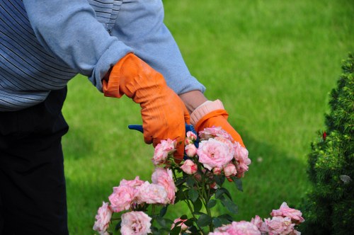 Gardener assessing a garden site before starting maintenance